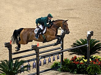 Trakehner